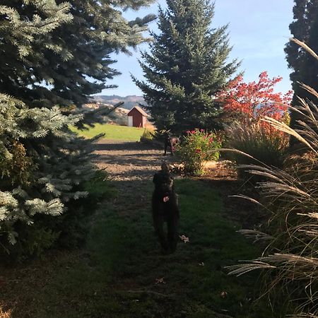 Husum Highlands Bed And Breakfast Εξωτερικό φωτογραφία
